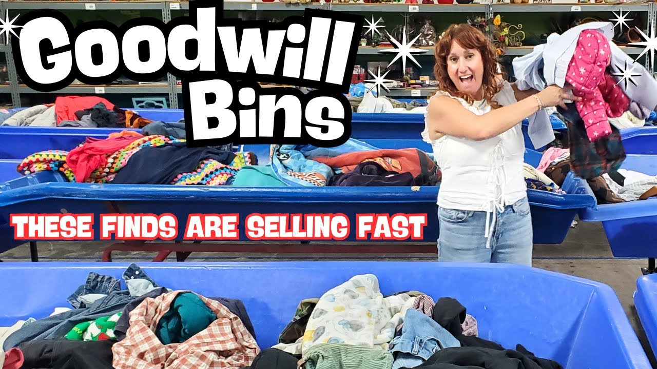 This Made The Whole Day Worth It! ~ GOODWILL OUTLET BINS THRIFT HAUL! ~ Thrifting & Reselling
