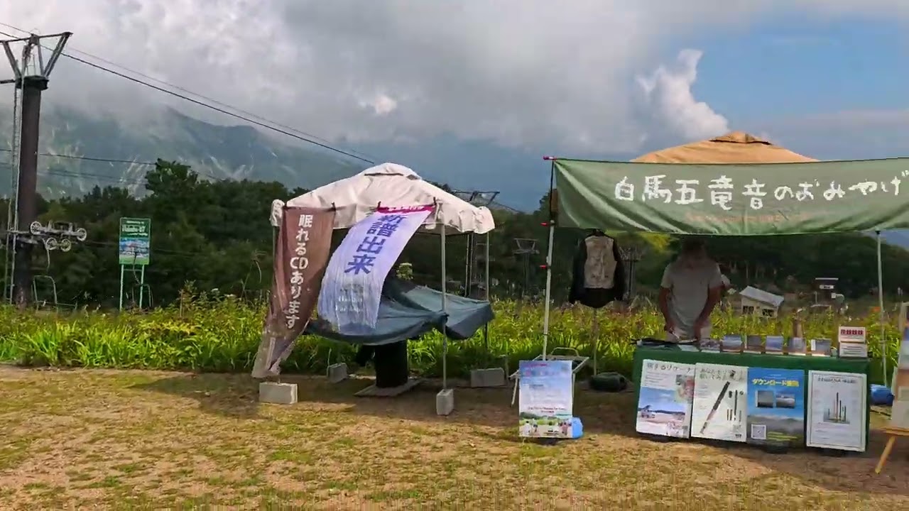 250831白馬五竜高山植物園（絶滅危惧種・前庭エリア）