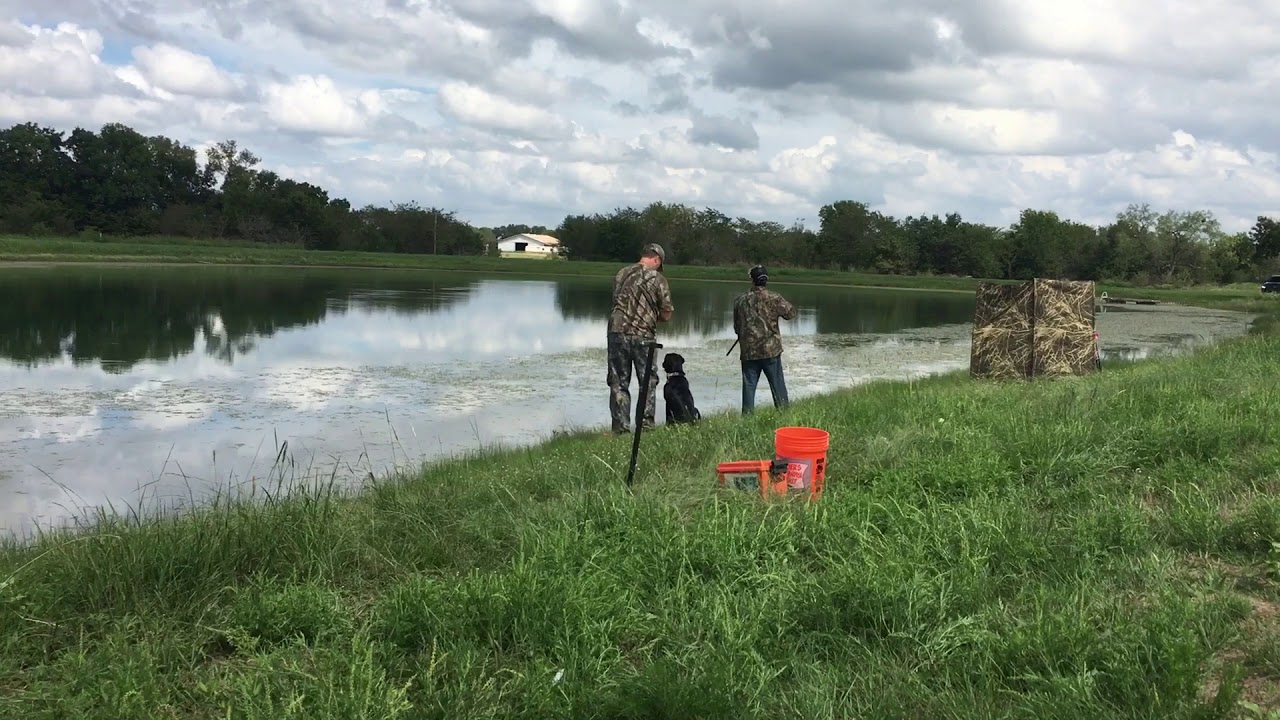 HRC &ldquo;Started&rdquo; Hunt Test - Big D Retriever Club