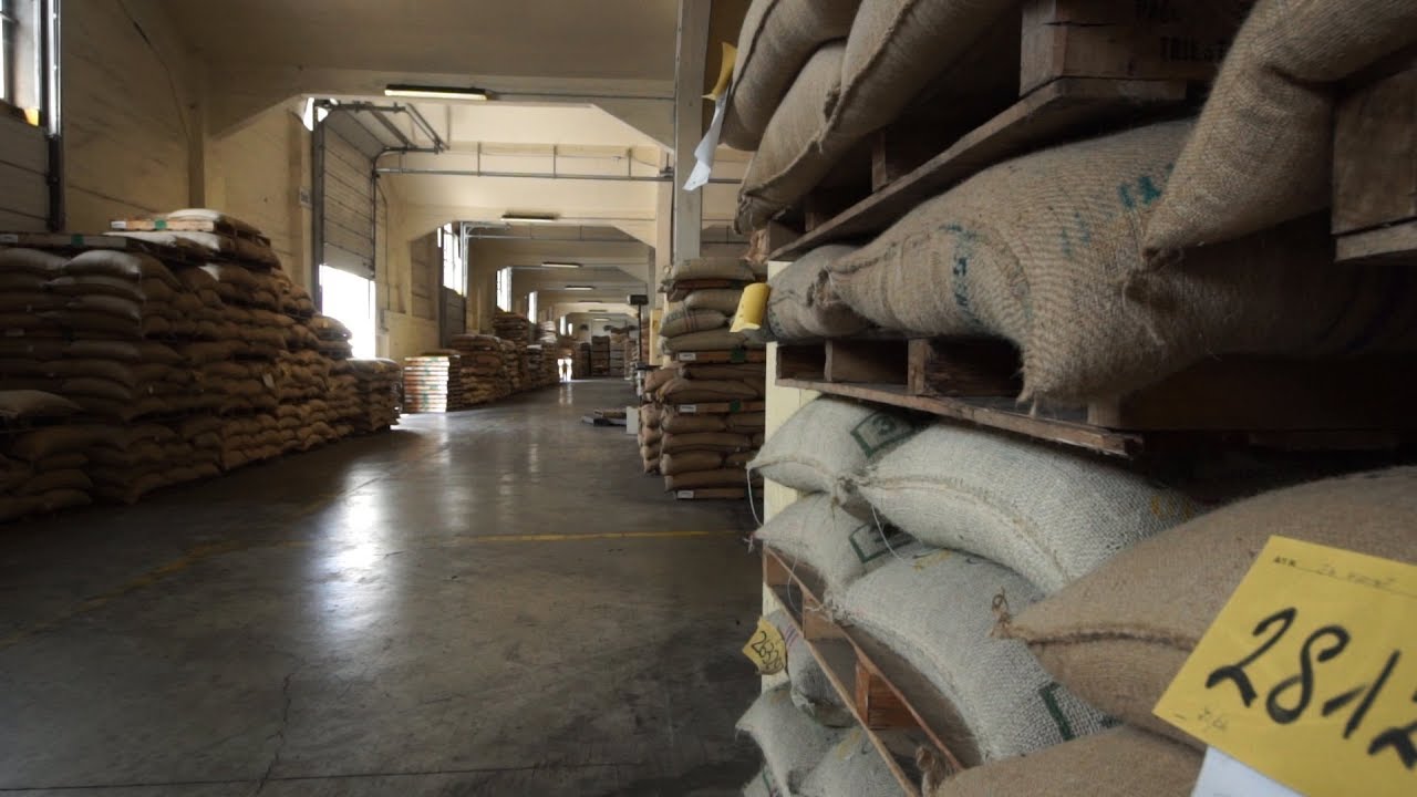 1. L’importazione e la selezione del caffè