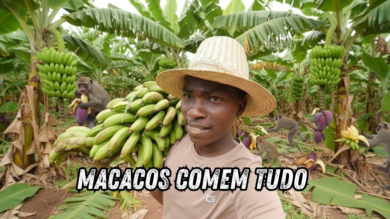 Joselino: Macacos VÃO DESTRUIR a Colheita