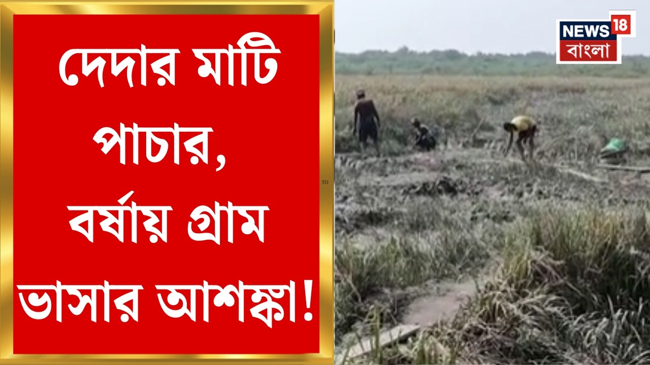 Kakdwip News| নদীর চর থেকে দেদার মাটি চুরি! মাফিয়ার দাপটে বাড়ছে আতঙ্ক | Bangla News