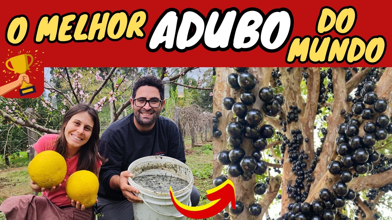 Você NÃO vai ACREDITAR no QUE este ADUBO LÍQUIDO FAZ nas PLANTAS!
