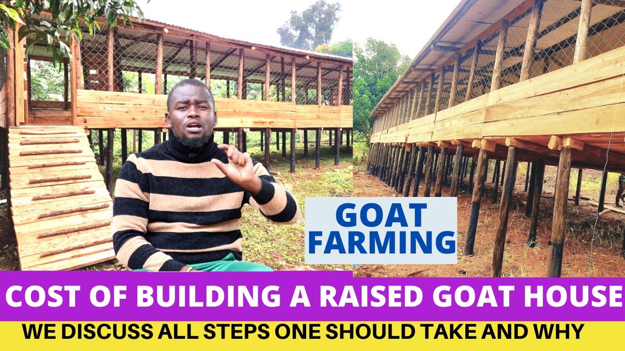 How To Construct a Modern Goat House in 2024
