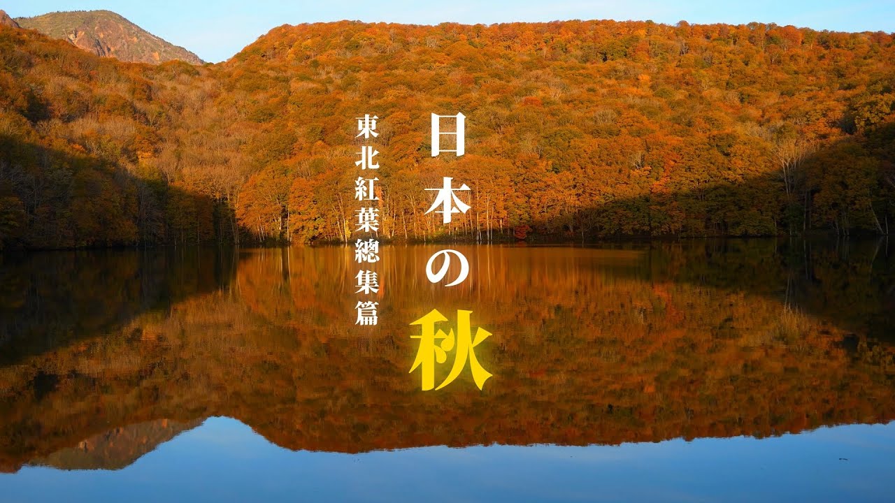 日本東北紅葉精選總集篇｜30分鐘遊覽秋田・青森・岩手與松島夜楓的絕美秋色