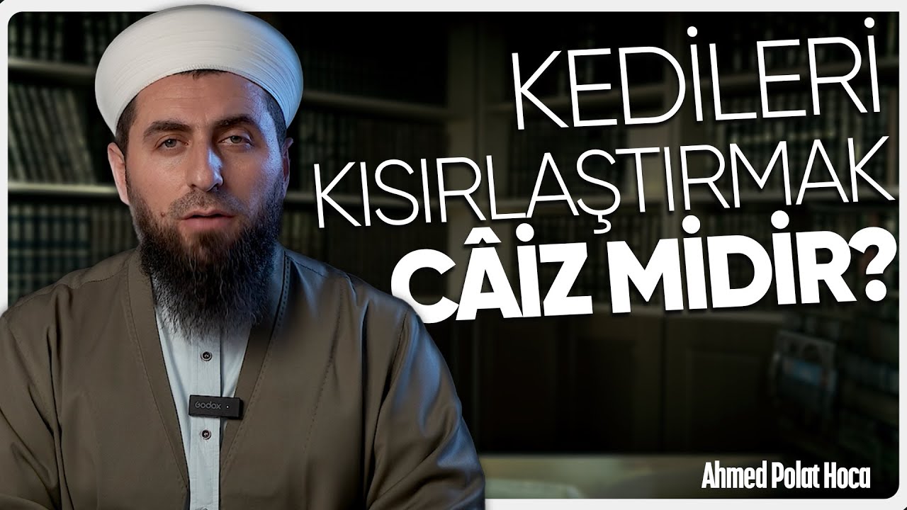 Kedileri Kısırlaştırmak Câiz Midir? @ahmedpolathoca