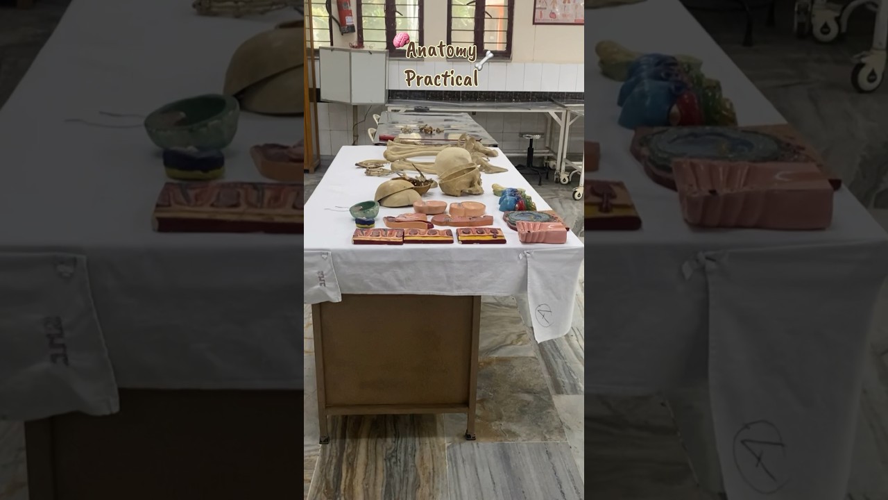 Anatomy Practical 😕🦴 &hellip;.Last day of first year #anatomy #bds #mbbs #exams #practical