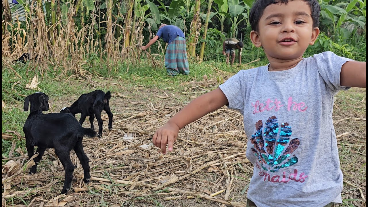 আয়াত দিন দিন অনেক দুষ্ট হয়ে যাচ্ছে | Doyel Agro