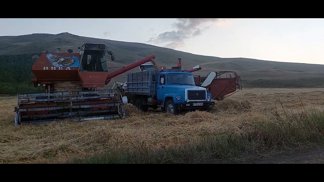 30 сентября 2023 г.