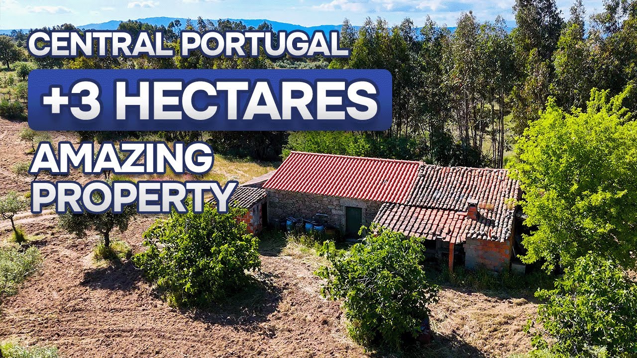 🇵🇹 RESERVED | 3.2ha Farm for sale in São Miguel de Acha, Central Portugal