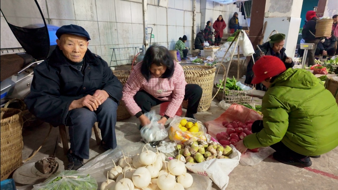 Harvest Radishes to Sell in Rural Market