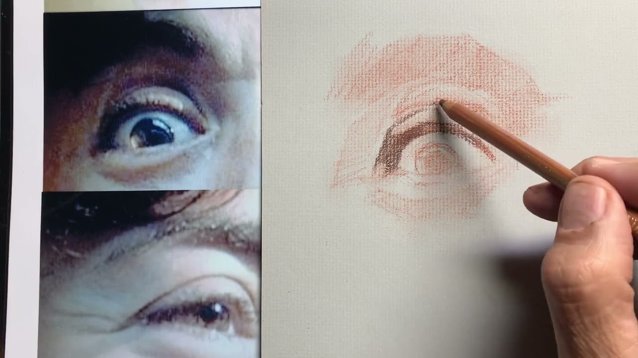 ELEMENTOS DEL ROSTRO: EL OJO 4