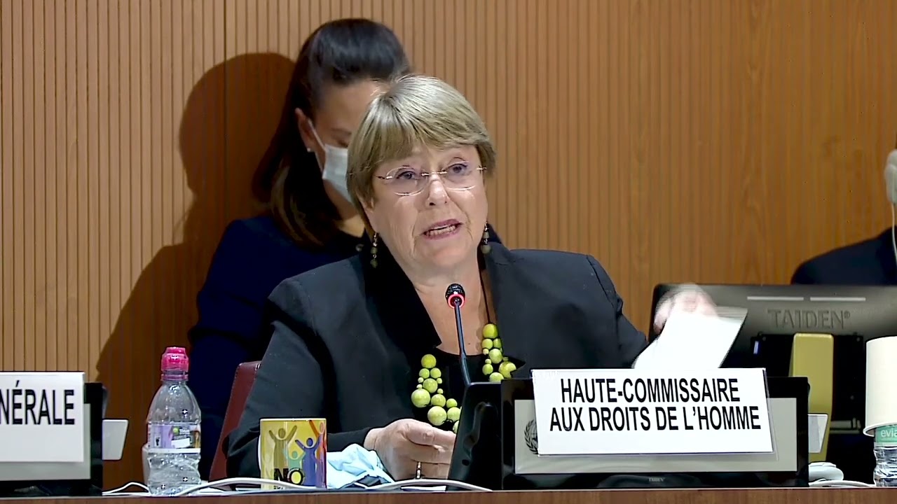 Michelle Bachelet - UN High Commissioner for Human Rights - Ukraine conflict