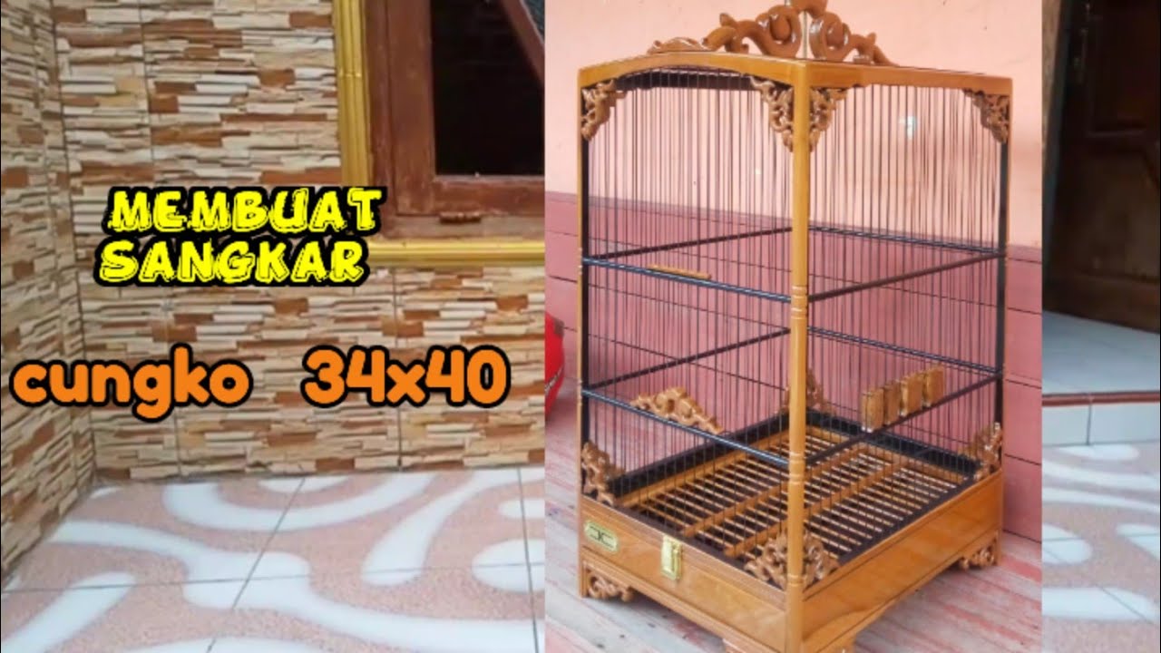membuat sangkar cungko minimalis SUPER MEWAH