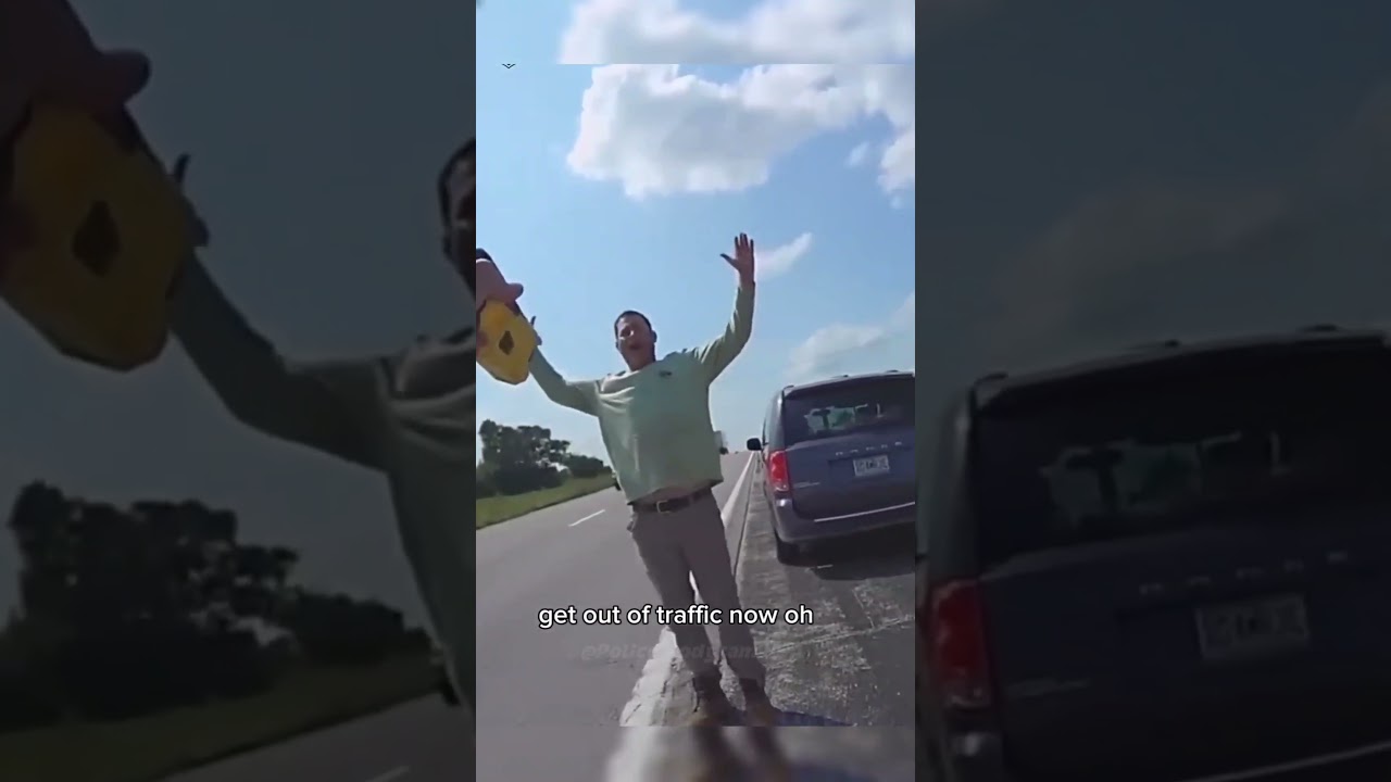 Entitled Sovereign citizen Crashed Out On Cop During traffic Stop