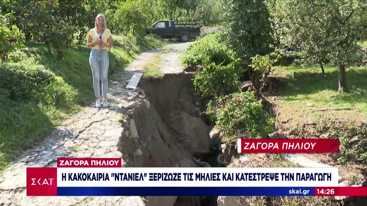 Τεράστιες καταστροφές στην παραγωγή μήλων στη Ζαγορά Πηλίου | Ειδήσεις Μεσημβρινό Δελτίο |18/09/2023