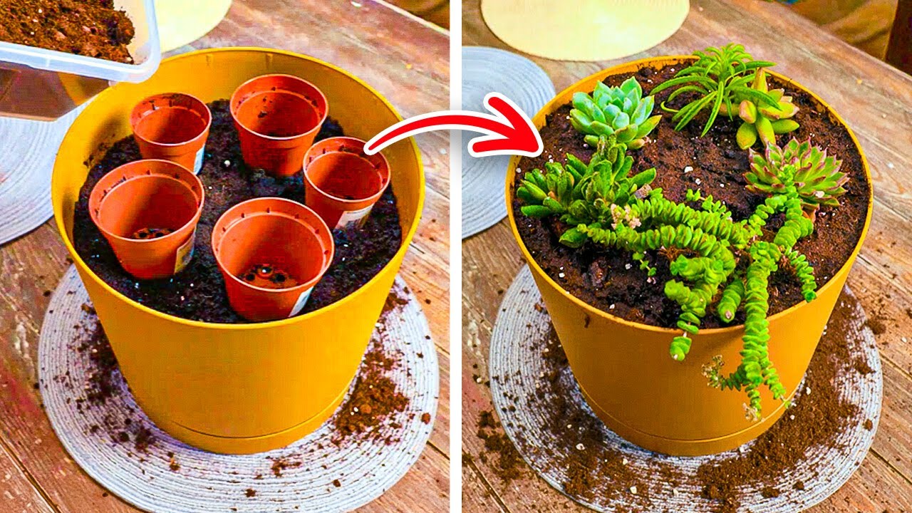 Useful & Easy Garden tricks for Masters and Beginners