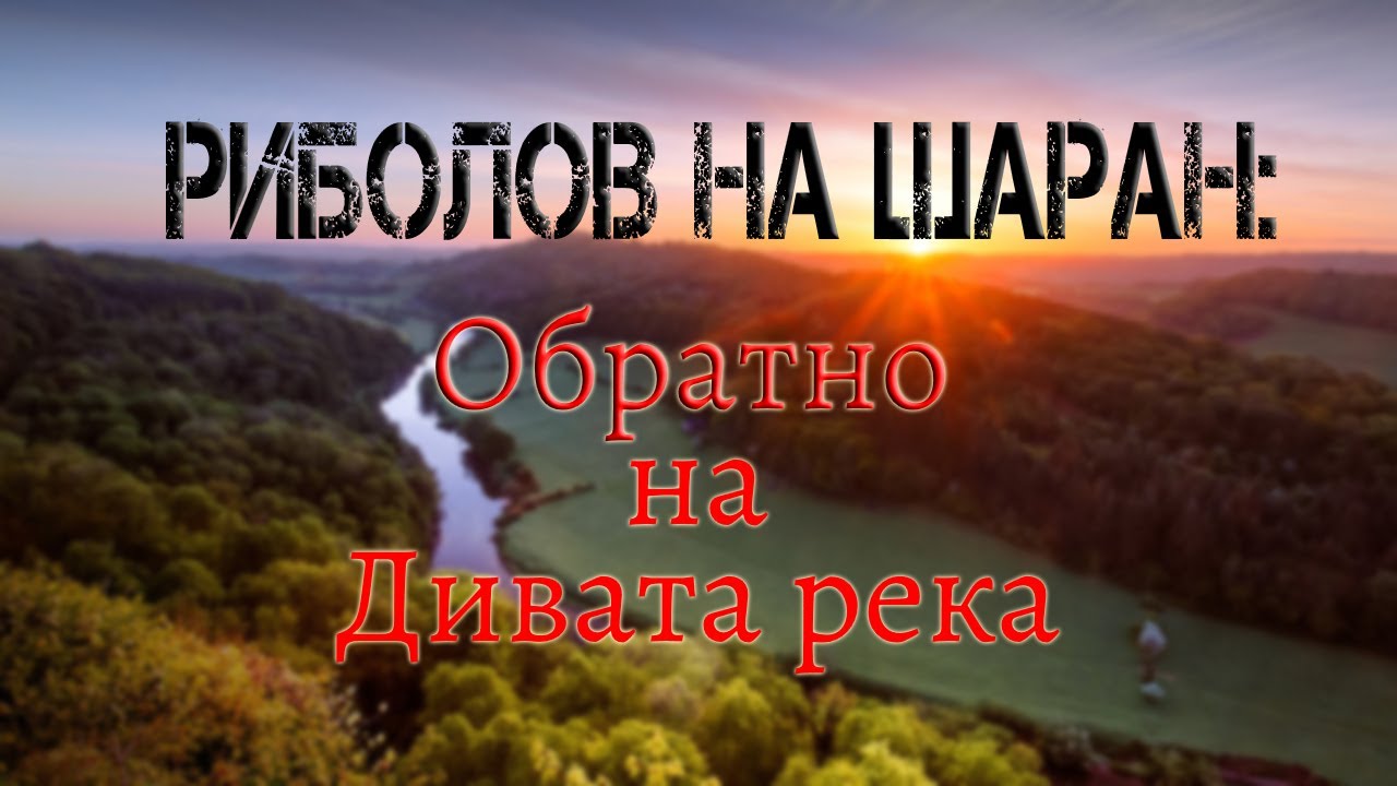Риболов на шаран: Обратно на дивата река (част 1)