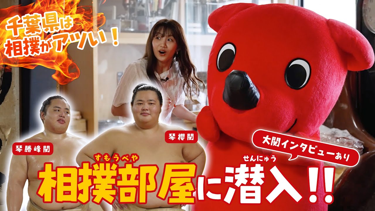 【千葉県は相撲がアツい！】チーバくん、相撲部屋に潜入！【大関インタビューあり】