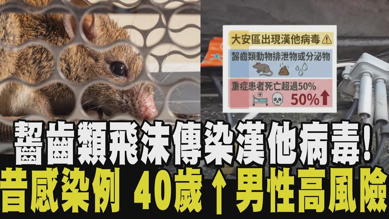 漢他病毒靠鼠糞.尿液微粒傳播! 症狀包括:突然發燒.結膜充血.肌肉痛 惡化恐迅速導致呼吸衰竭 過往感染病例以40歲以上男性風險最高｜【話題懶人包】｜TVBS新聞網@tvbsnews24live