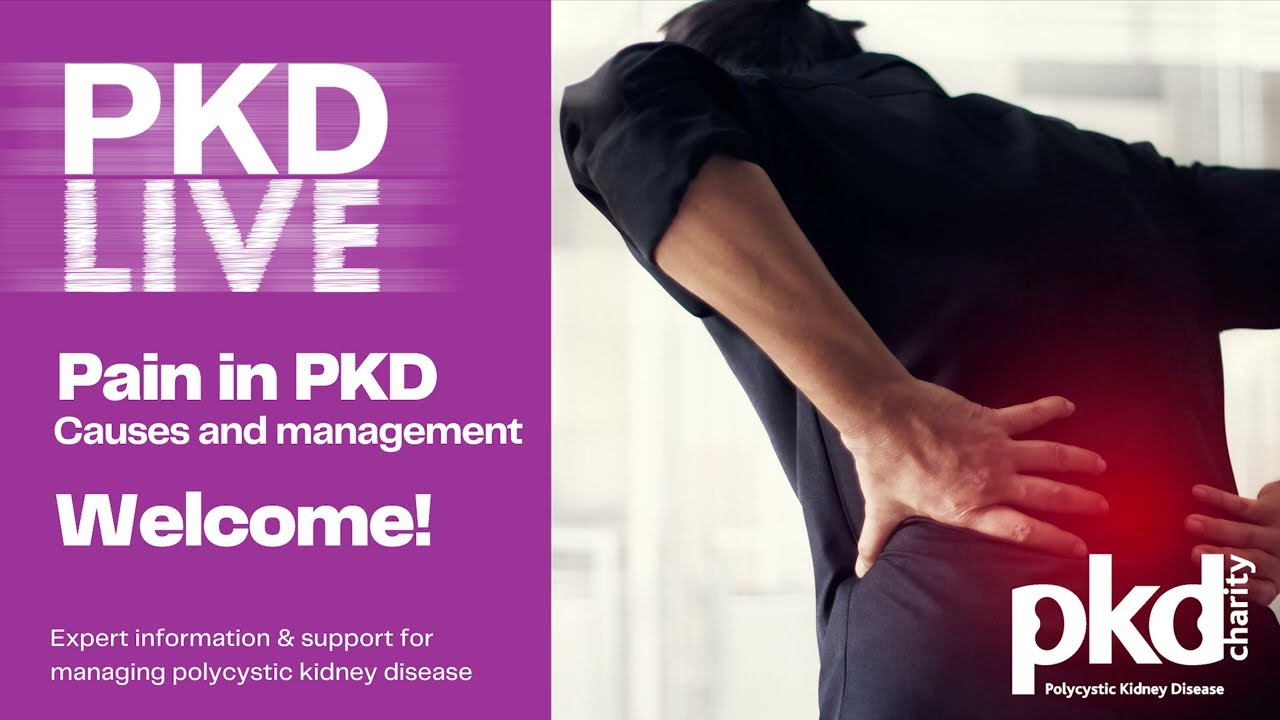 Pain in PKD: Causes and Management Live Q&A