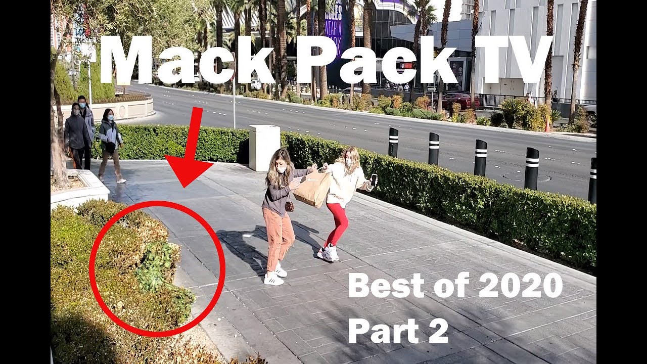 Best of 2020 BushKids: Needed some good laughs in 2020!