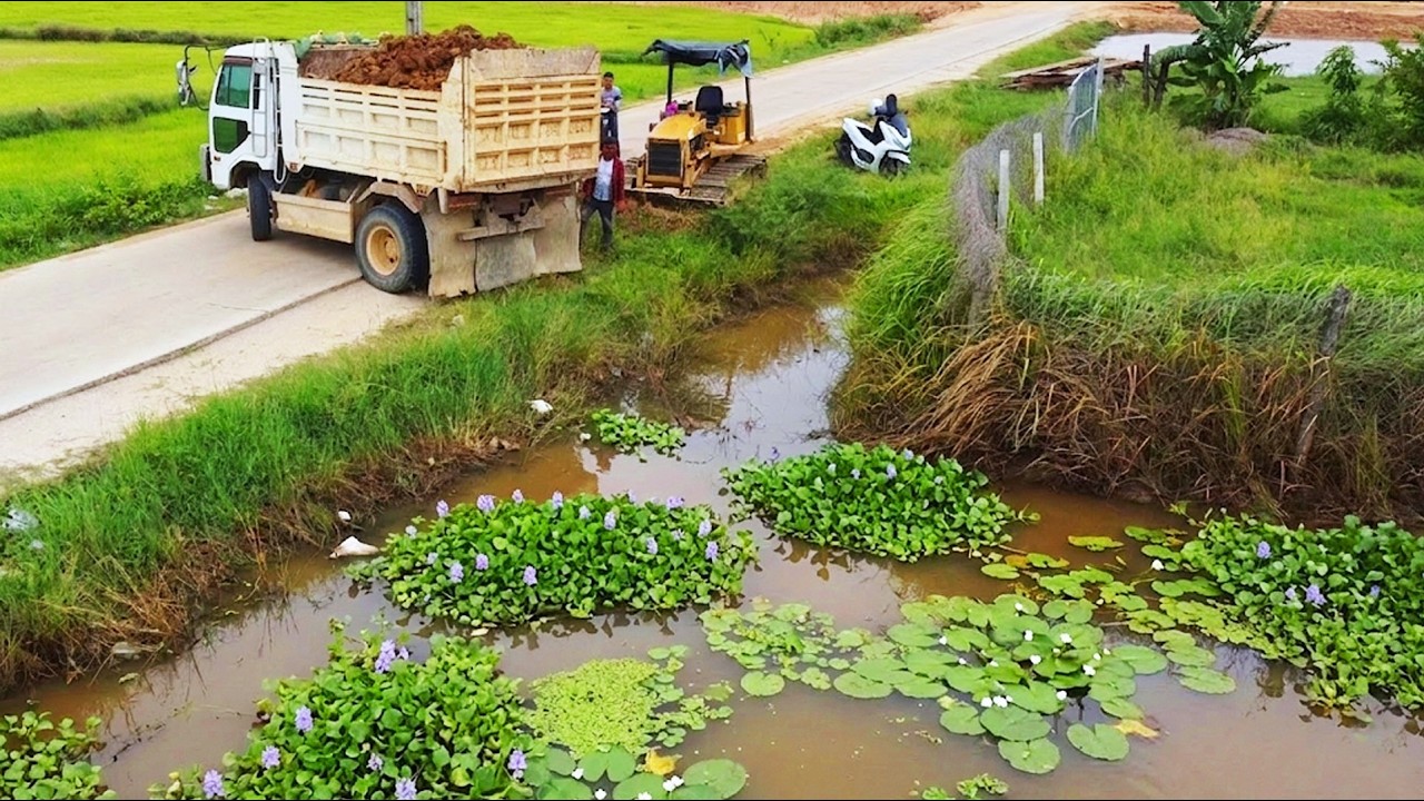 First Start Amazing PROJECT!! Filling Land Delete Deep Fish Pond Use Strong Bulldozer & 5Ton Truck.