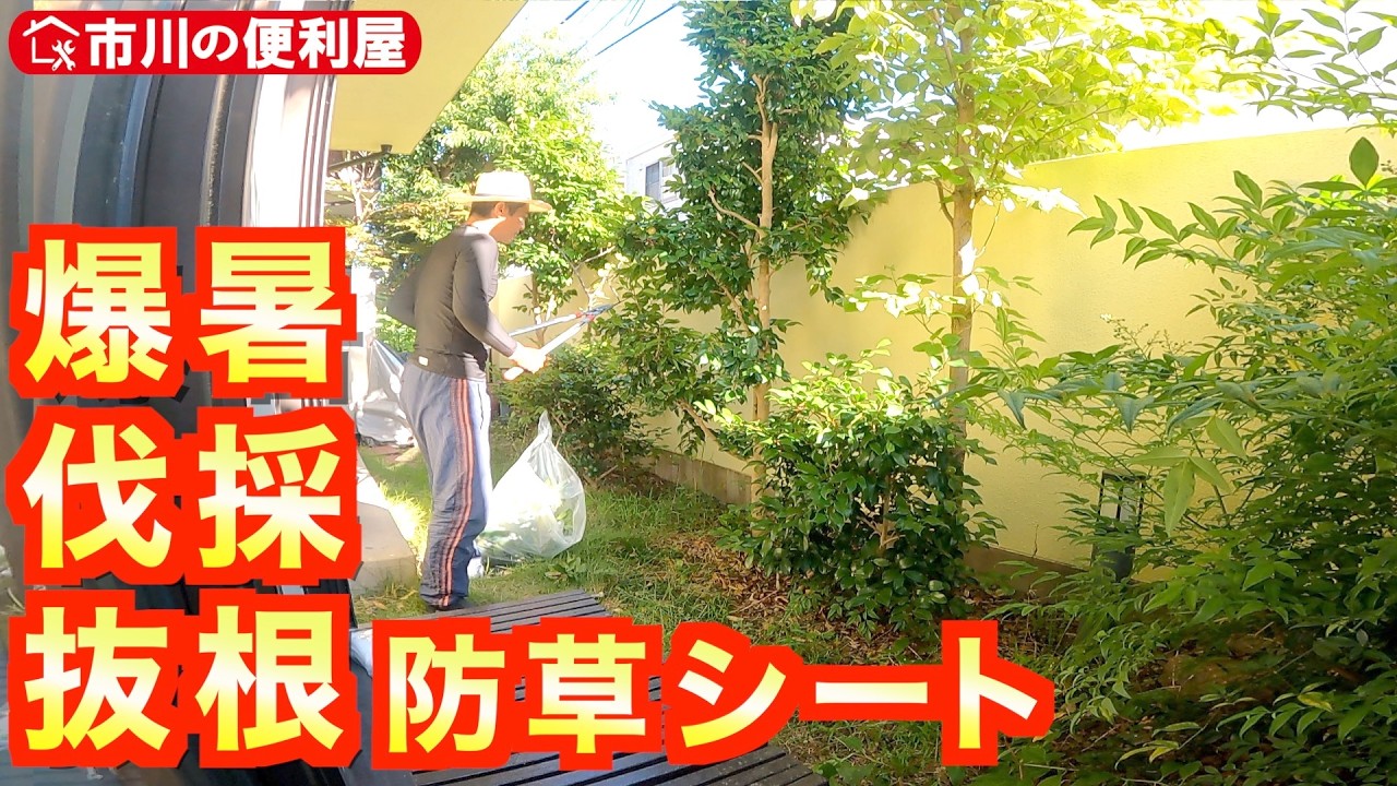【13㎡お庭に防草シート,庭木伐採整地,生け垣剪定,花壇に防草砂施工】2日でのべ21時間☀️爆暑の芝剥がし🌾草取り☘️庭石掘出し🏠️ジョイントマットはがし、除草剤散布｜各作業料、道具一覧概要欄へ✔
