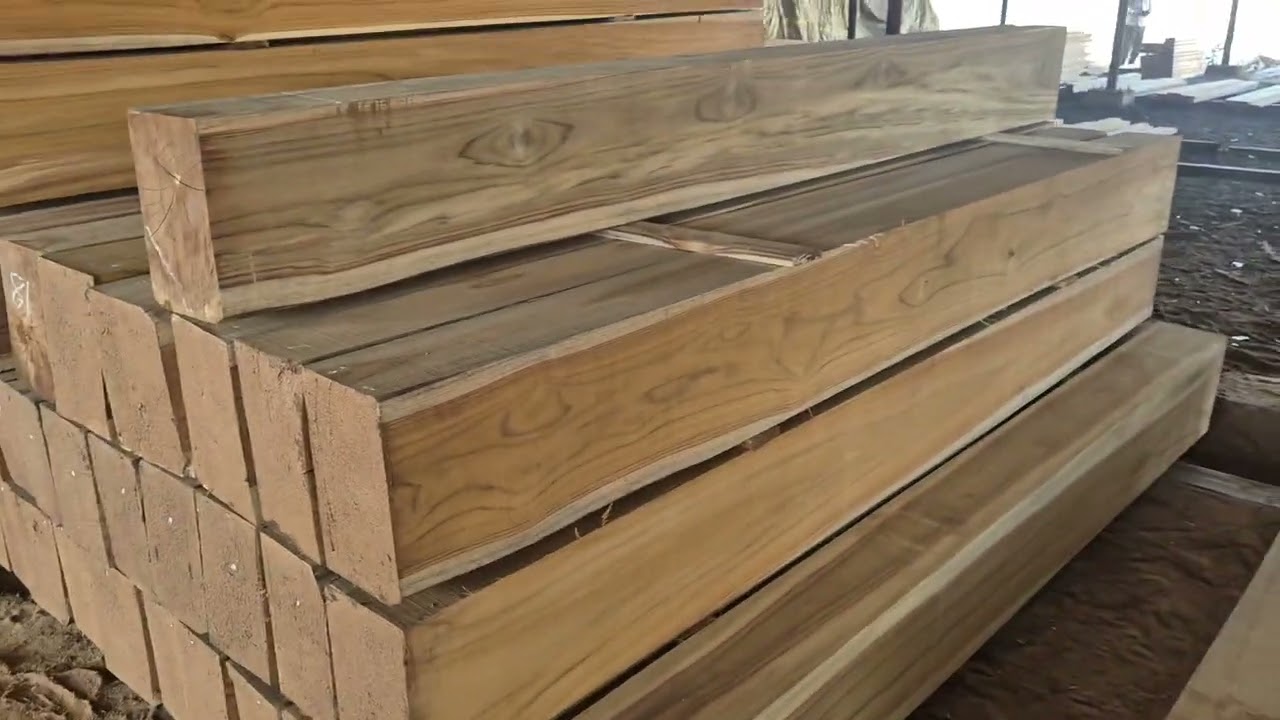 मेक्सिको sagwan wood kating aara machine Gandhidham good Quality 🪵👌