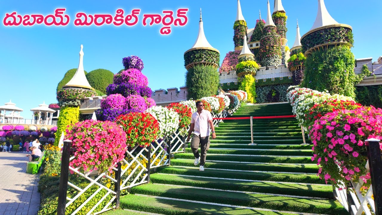 దుబాయ్ మిరాకిల్ గార్డెన్ భూలోక స్వర్గం అద్భుతంగా ఉంది || Dubai Vlogs Telugu || Telugu Blogs Dubai