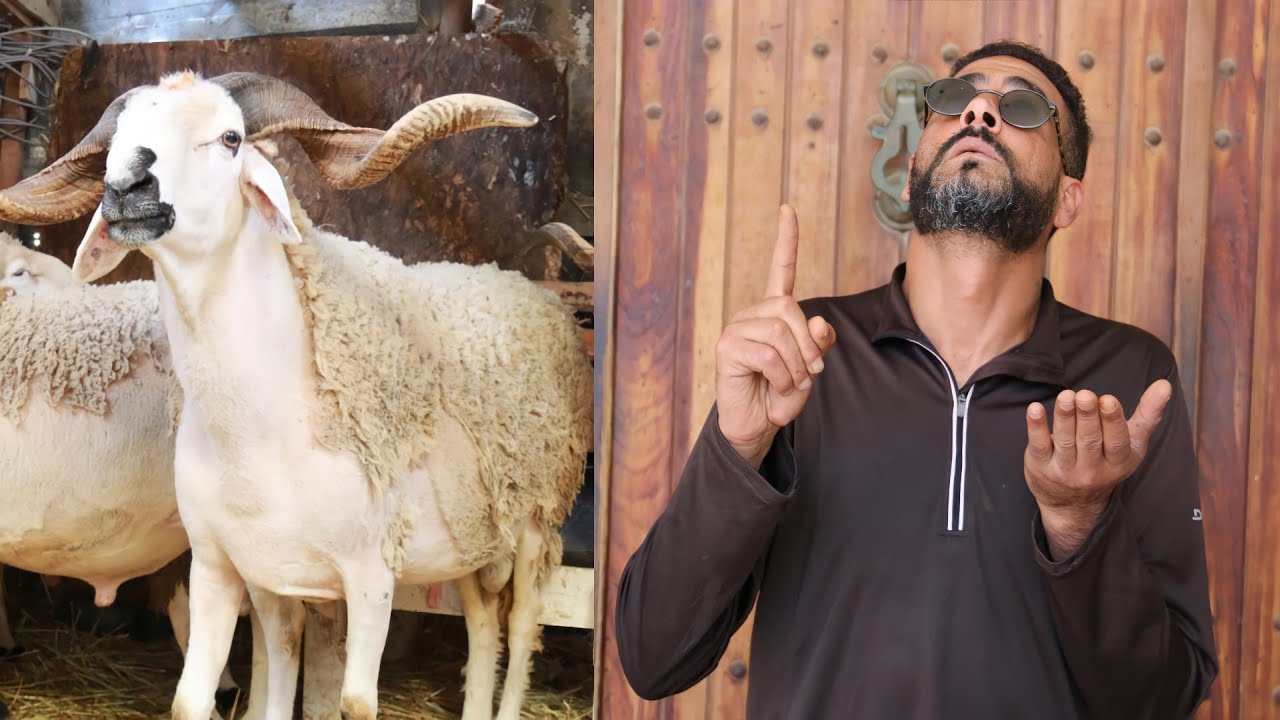 الأعمى الذي أبكا العالم 😢💔 بفرحة العيد(يستحق المشاهدة)