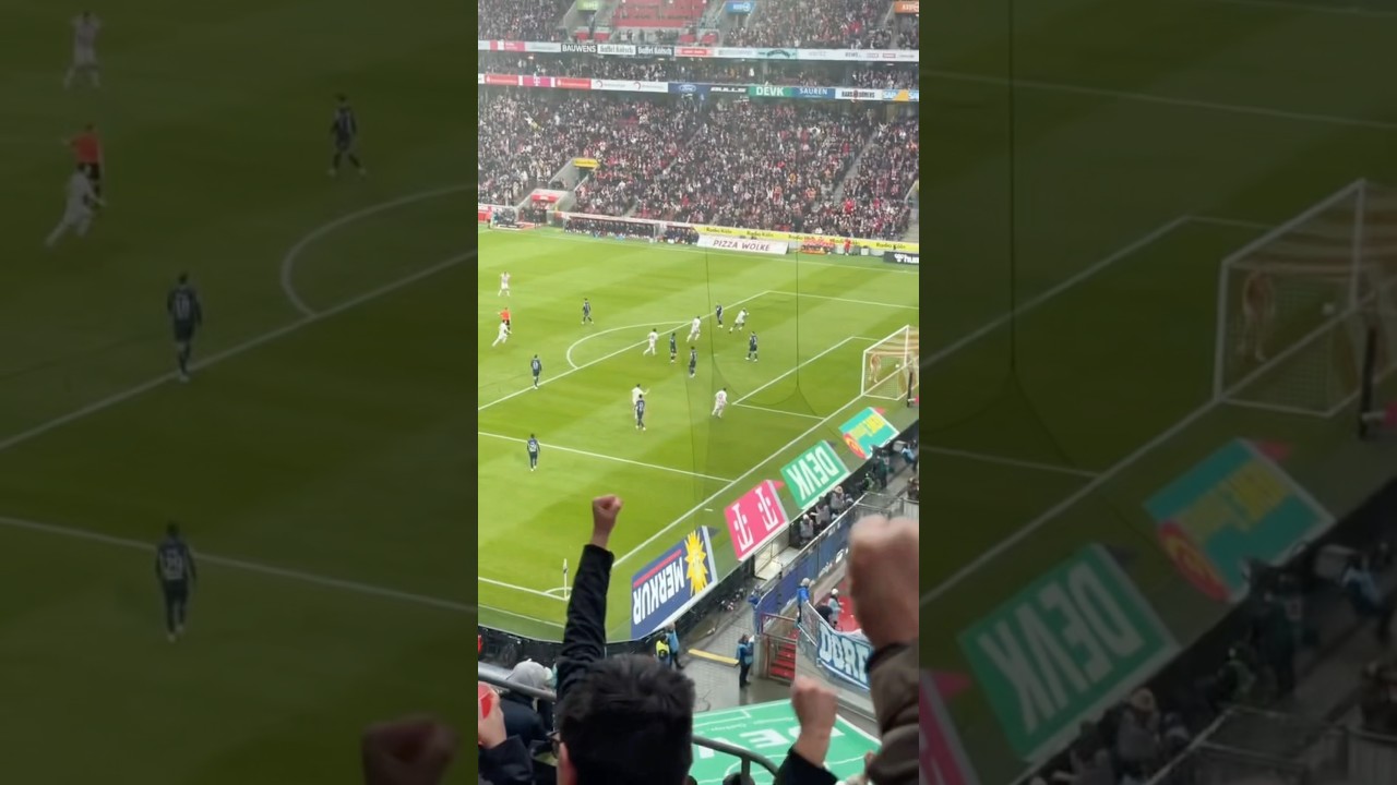 &iexcl;TENEMOS EL PUSKAS!🤯Golazo de  Ragnar Ache con #k&ouml;ln en #bundesliga 🇩🇪