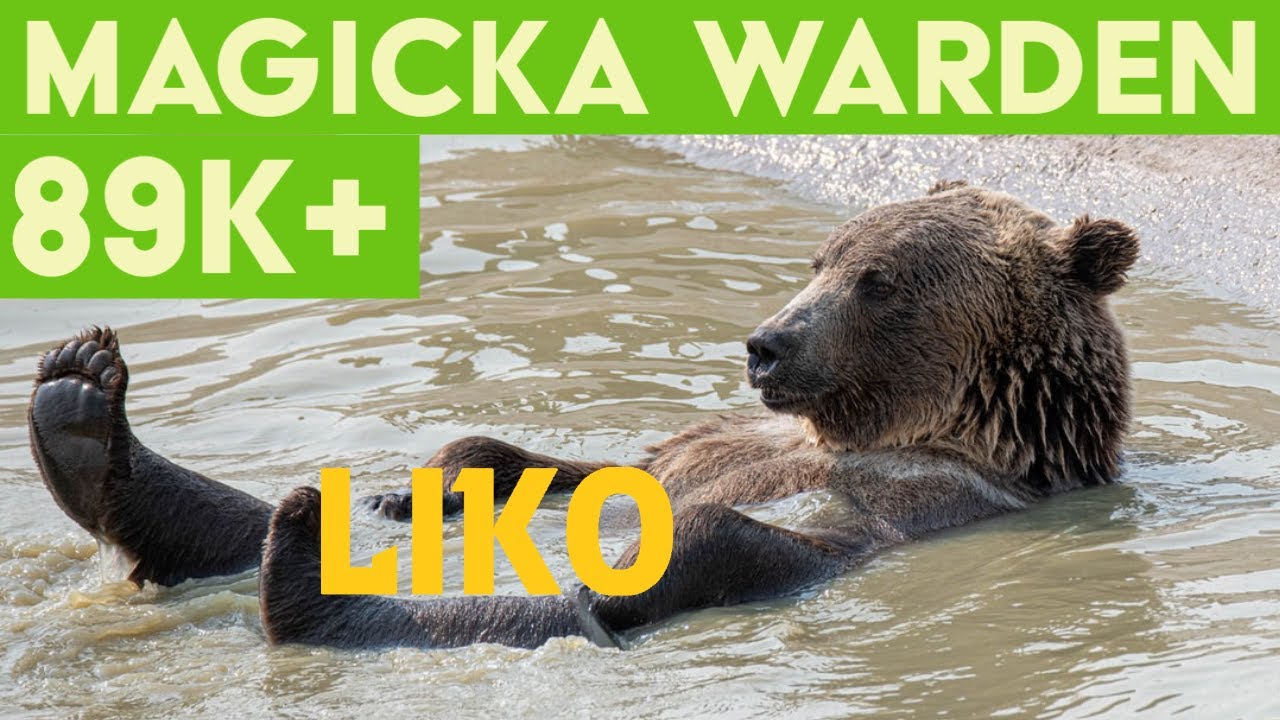 Magicka Warden PVE Build (89k+) - Stonethorn - Elder Scrolls Online ESO