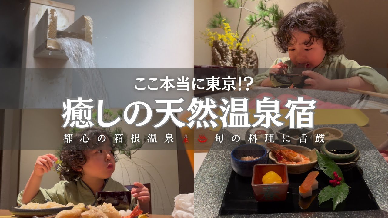 【おすすめ宿】都心で箱根温泉が味わえる？癒しの天然温泉とおいしいごはんに大満足♨️🧖✨