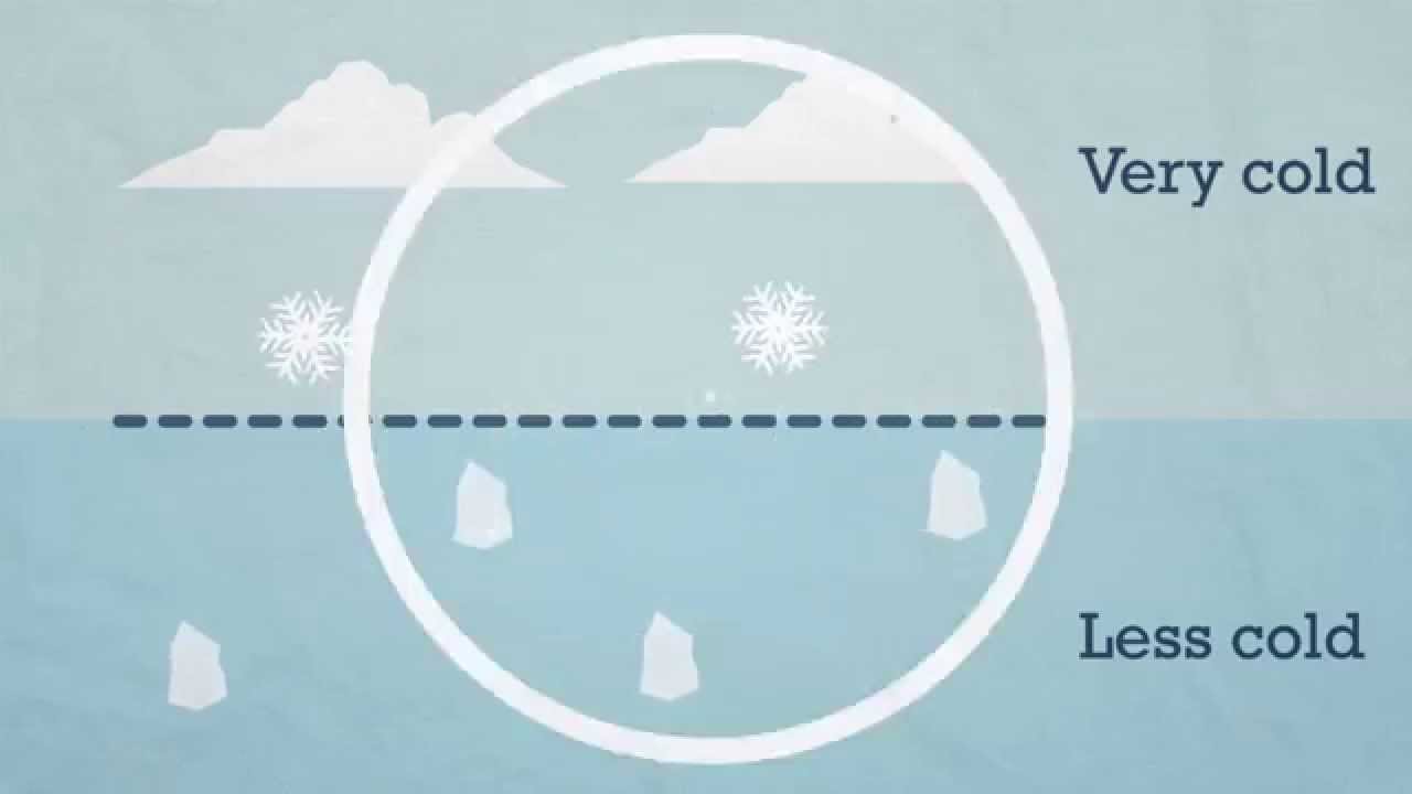 What is sleet?
