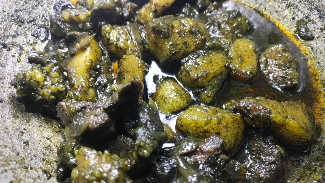 How to Cook PORK with BLACK SESAME SEED|| Dohsniang Bad Neiiong|| Wak Spin||