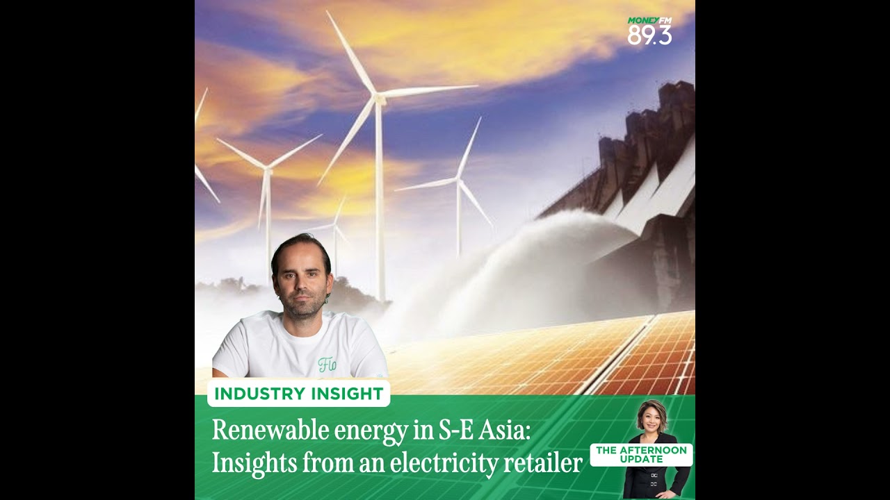 Industry Insight: Challenges and opportunities in Southeast Asia's renewable energy sector