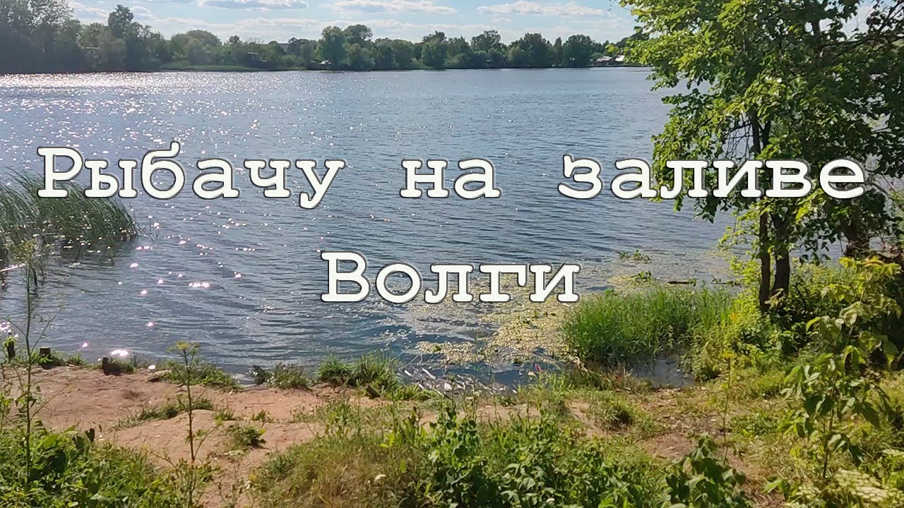Залив Волги в июле 2024