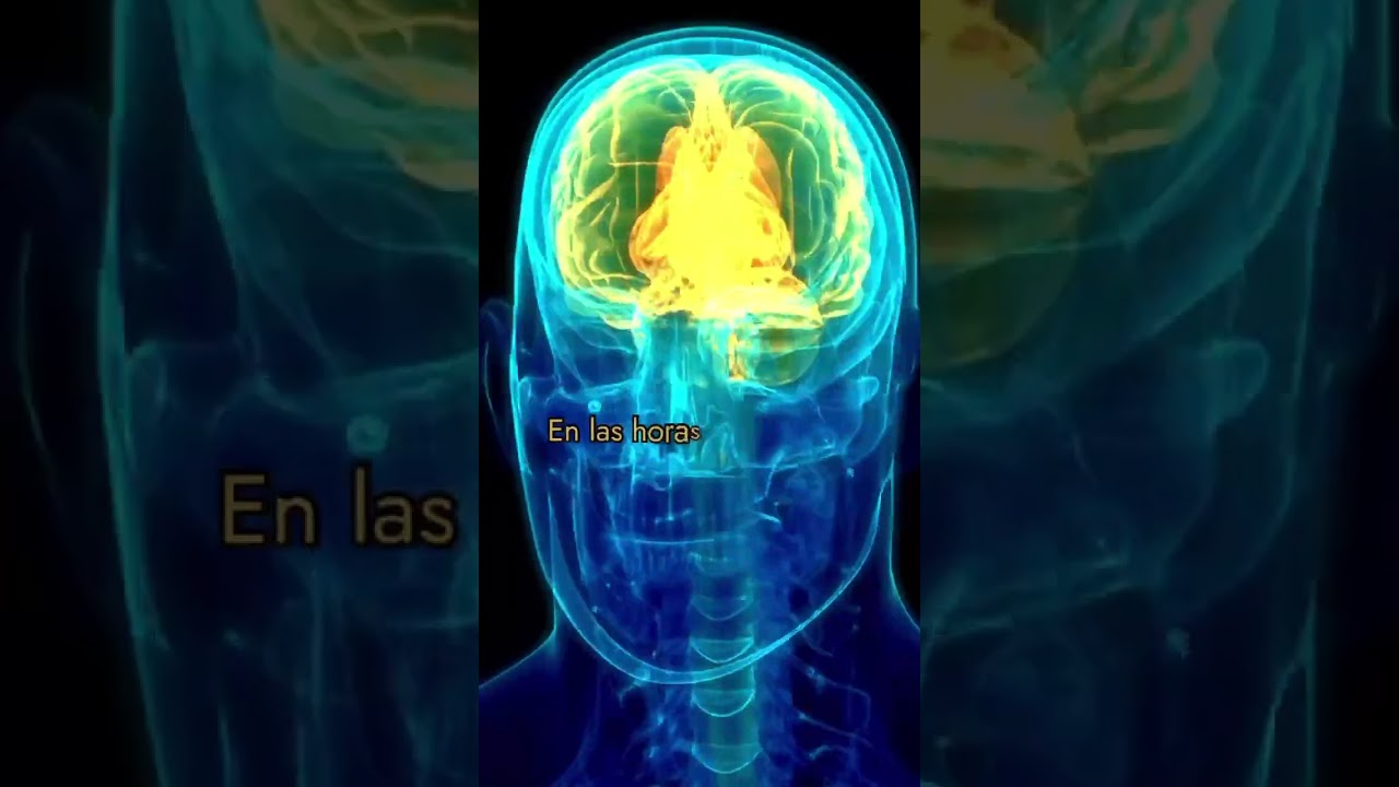 Cbd para dormir