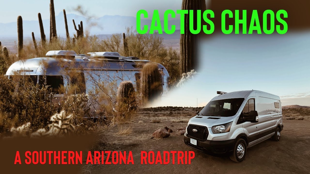Cacti Chaos и приключения в кемпер-вэне: путешествие по Аризоне с Пайпер!