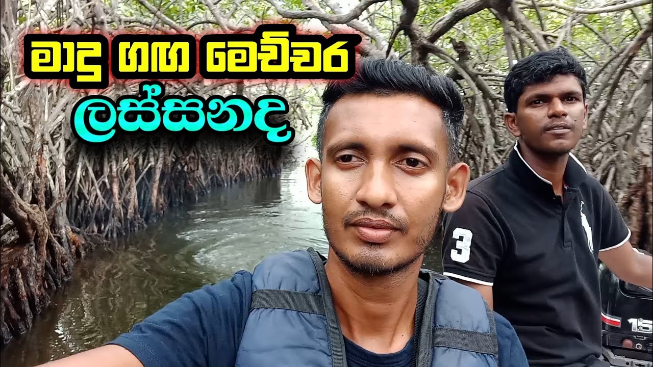 මාදු ගඟ මෙච්චර ලස්සනද ?🚤🚢 | Boat safari on the Madu River | Pradeep Nish Vlog 