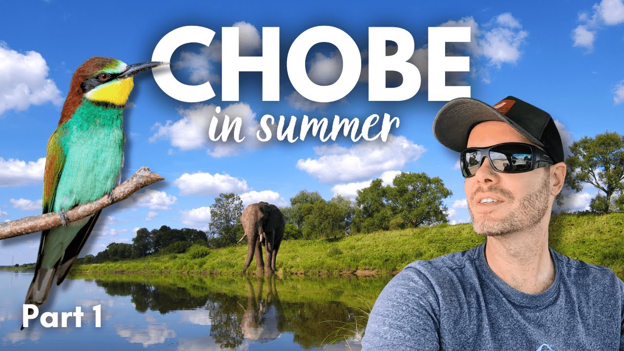 We visit Chobe National Park in Summer! Part 1