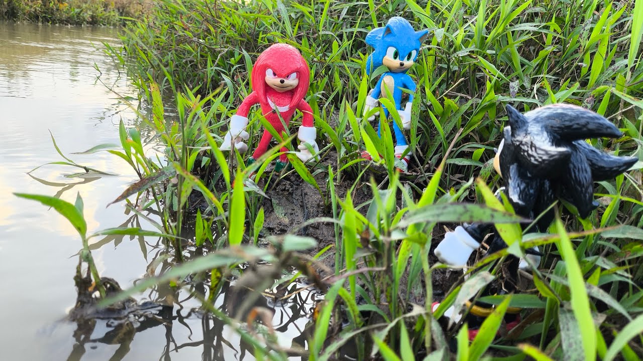 Sonic Hedgehog, Sonic Shadow, Knuckles, Tails, Metal Sonic, Super Sonic, Metal Sonic, Super Shadow