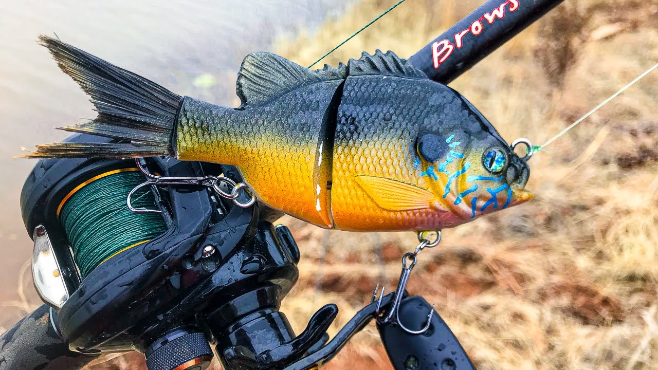 NOOB Fishes BIG Swimbaits for BASS - Custom Bait Gets Bit  (Ep.2)