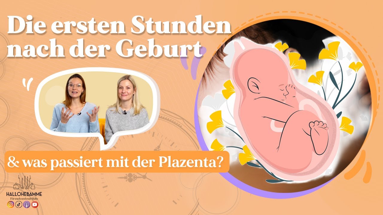 Die aller ersten Stunden nach der Geburt | Was passiert mit der Plazenta? | hallohebamme