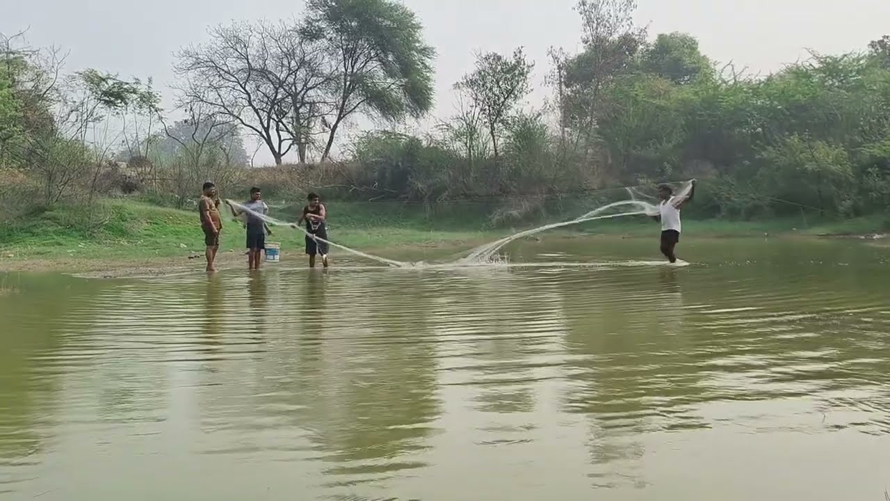 Amazing Net fish fishing videos...!!