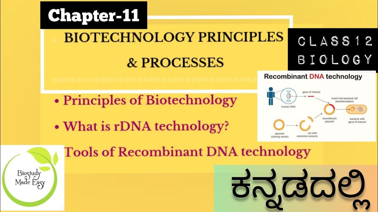 Class12 BIOTECHNOLOGY principles & Process ಕನ್ನಡದಲ್ಲಿ|2 pu biology| NEET @biostudymadeeasy