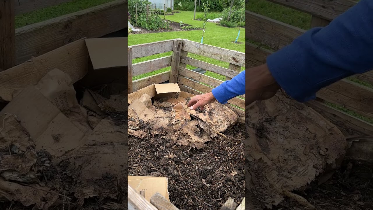 Compost is my new book!