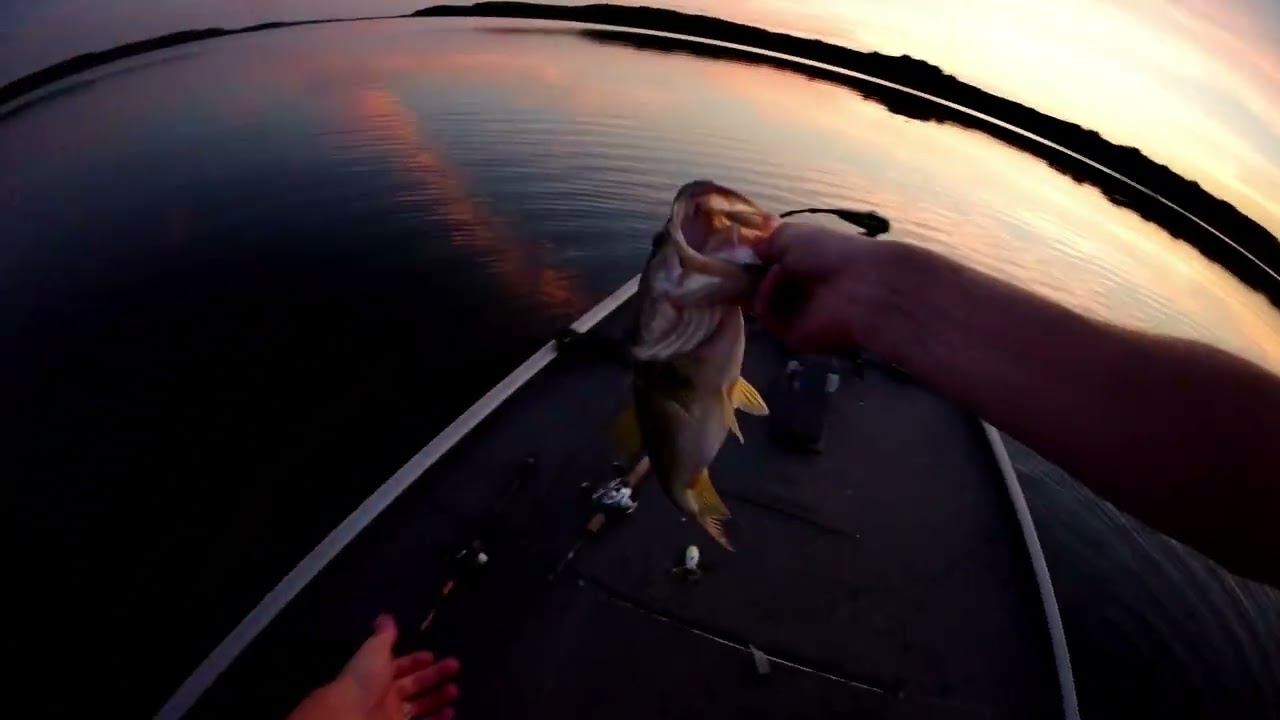 Bass Fishing After Work (crazy bite)