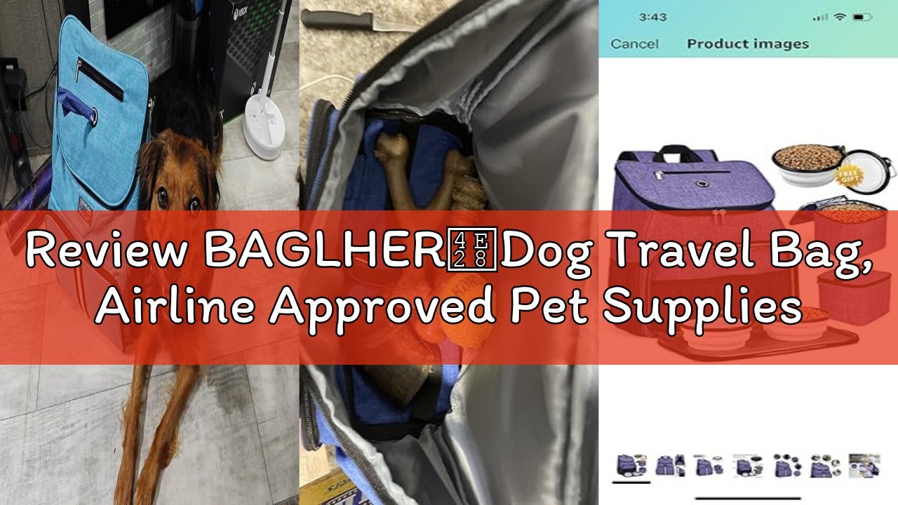 Review BAGLHER丨Dog Travel Bag, Airline Approved Pet Supplies Backpack, Dog Travel Backpack Accessori